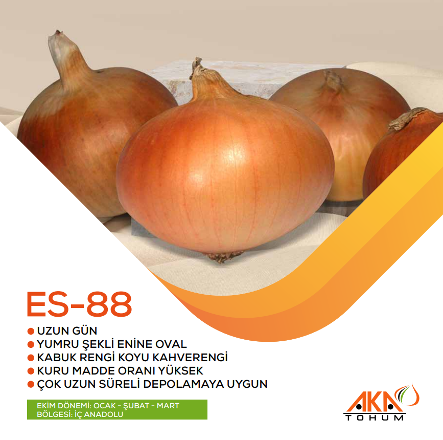 ES-88 Soğan tohumu cinsi